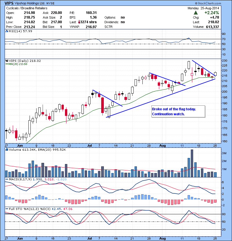 VIPS  Broke out of the flag today. Continuation watch. 