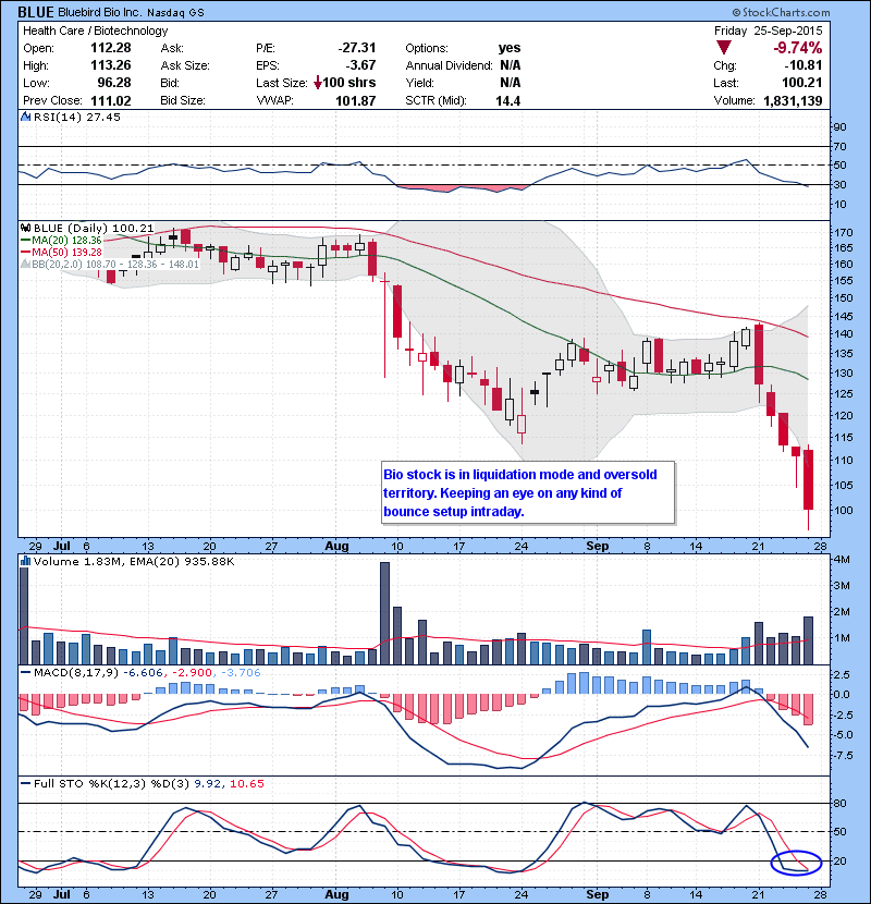 BLUE Bio stock is in liquidation mode and oversold territory. Keeping an eye on any kind of bounce setup intraday.