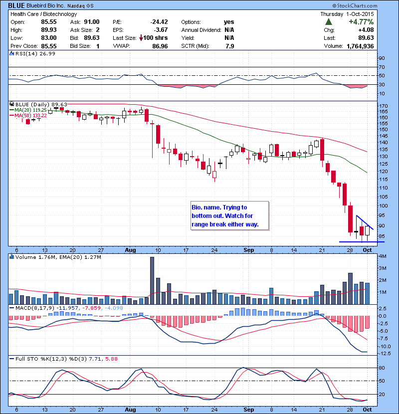 BLUE Bio. name. Trying to bottom out. Watch for range break either way.