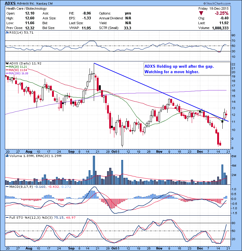 ADXS Holding up well after the gap. Watching for a move higher.