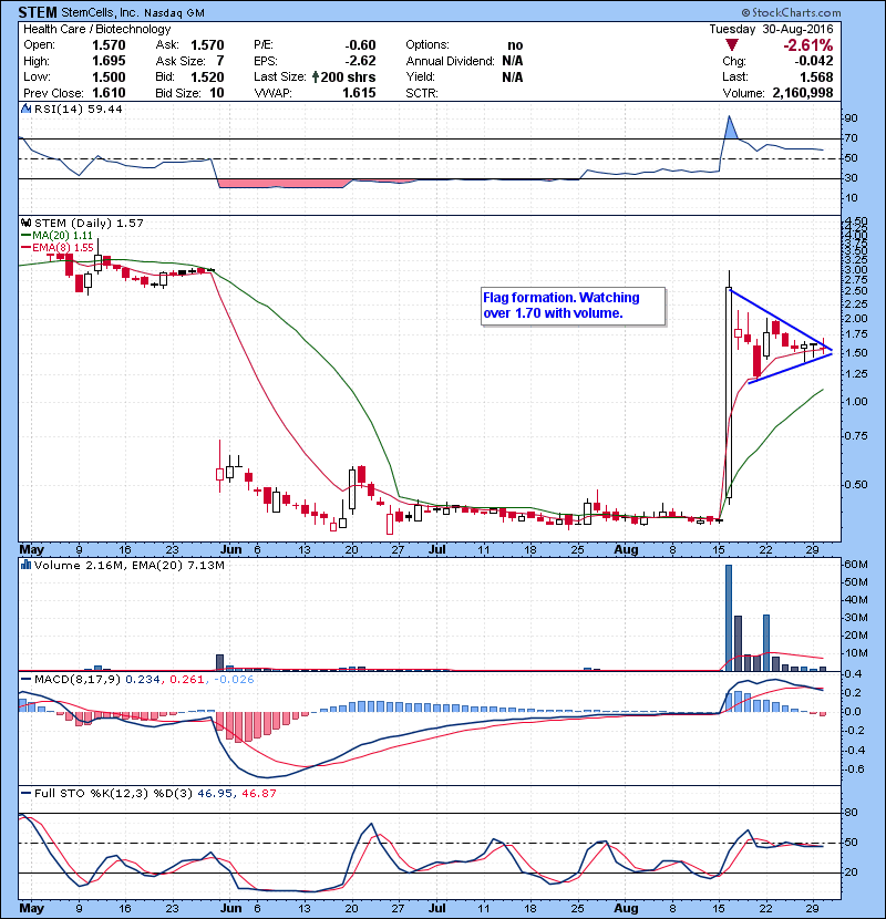 STEM Flag formation. Watching over 1.70 with volume.