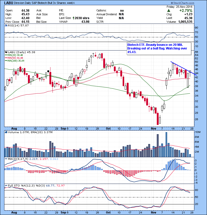 LABU Biotech ETF. Beauty bounce on 20 MA. Breaking out of a bull flag. Watching over 45.43.