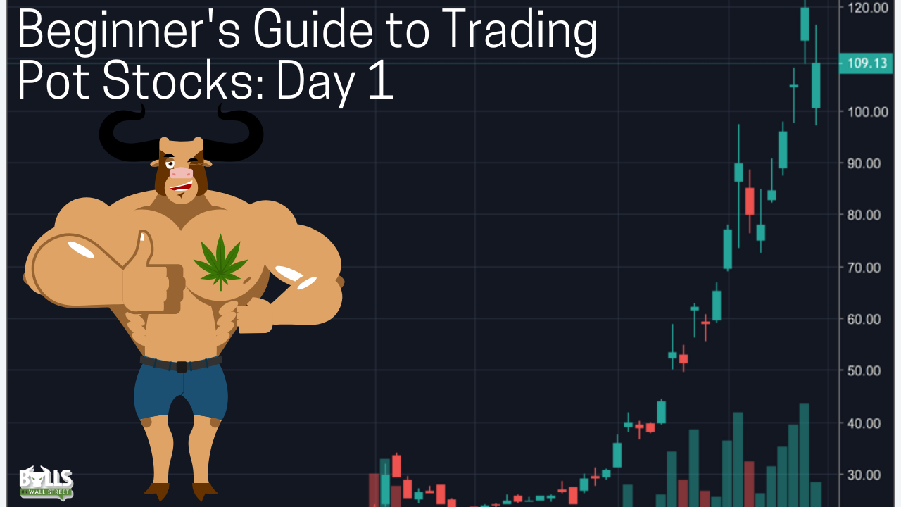 Beginner's Guide to Trading Pot Stocks: Day 1