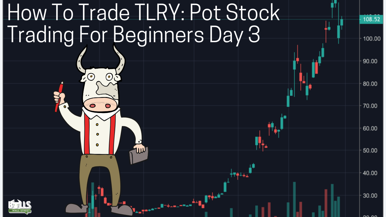How To Trade TLRY: Pot Stock Trading For Beginners